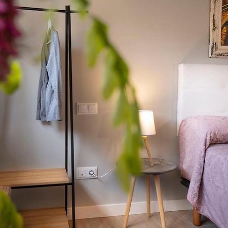 Apartamentos Terraza Ega 에스텔라 외부 사진